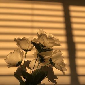 Meet your Posher, Raina